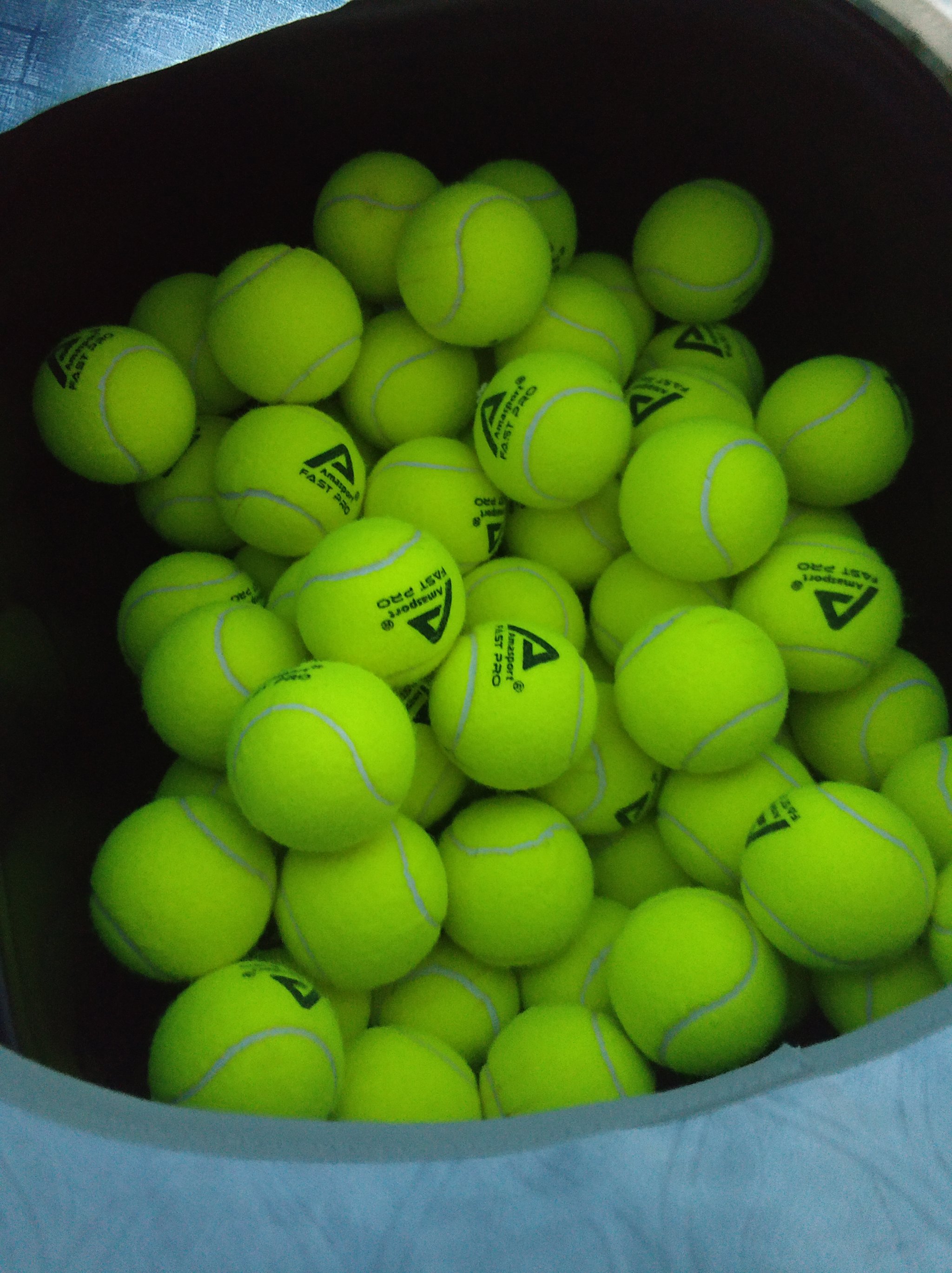 球员态度的 球员态度的